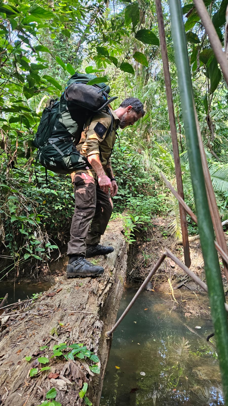 Aldo Kane - Leader In Our Immersive Experience Aldo Kane - Leader In Our Immersive Experience